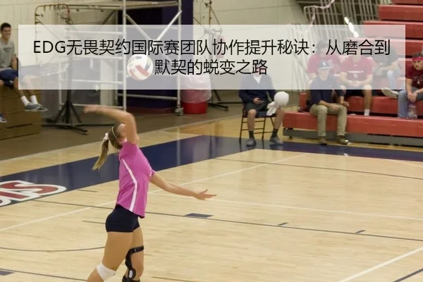 EDG无畏契约国际赛团队协作提升秘诀：从磨合到默契的蜕变之路